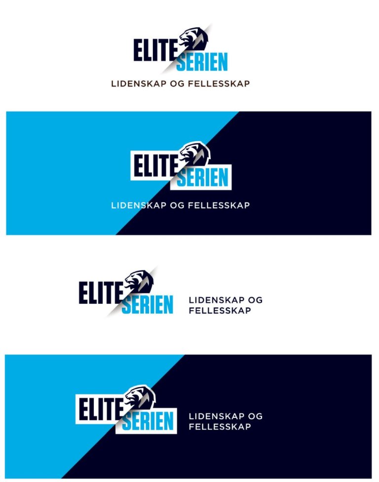 logo_hovedeliteserien_lidenskapogfellesskap