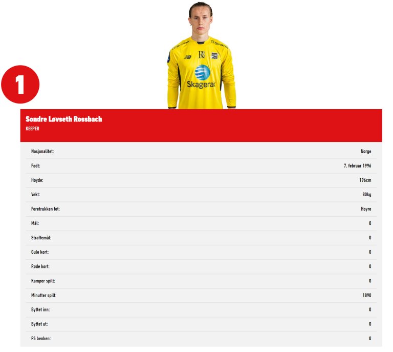 spillerprofil